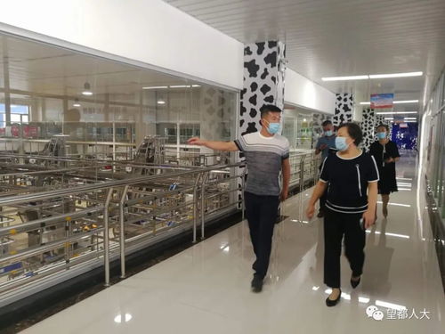 望都县人大常委会主任刘洪洁调研绿色食品产业发展工作——义乌软件开发的启示